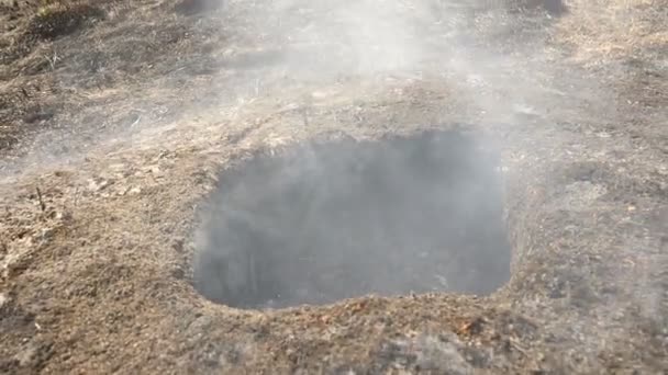 Égett lyuk a földben. Tavaszi tűz a pályán. Ökológiai katasztrófa a vadonban — Stock videók