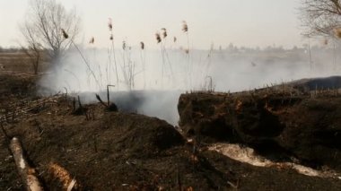 Sahadaki bir bahar yangınından sonra yanmış arazi. Yanan otlar. Kül dolu büyük çukurlar