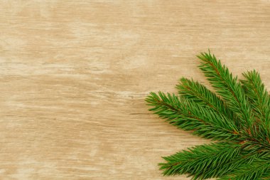 Bir ahşap yüzeye çam dalları. Noel arka plan. Kopya alanı