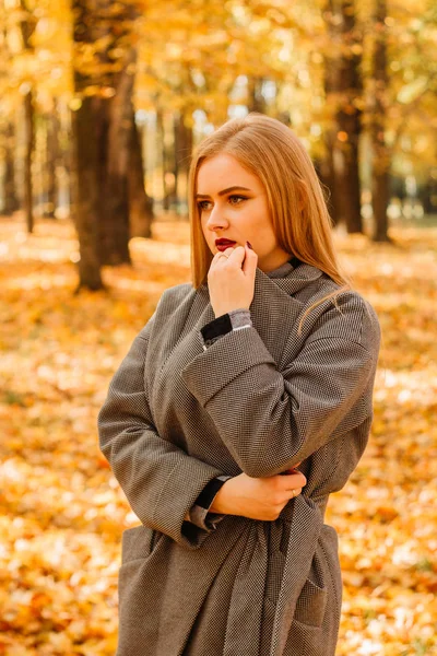 Genç kız sonbahar park paltolu. Ağaçlar sarı yapraklarda.