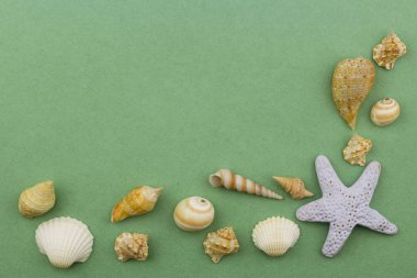 Kopyalama yeri olan yeşil bir arka plan üzerinde deniz kabuklarını. Üstten görünüm. Tatil plaj ve kavram cruise