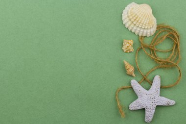 Deniz kabuklarını ve denizyıldızı yeşil bir arka plan üzerinde. Yukarıdan görüntüleyin. Kopya alanı