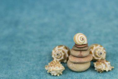 Seashell taş yığını üzerinde yalan. Kopya için alan ile mavi arka plan.
