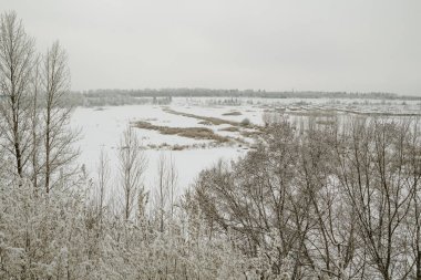 Kış manzarası. Ağaçlar ve kar