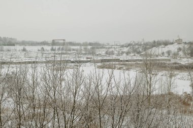 Kış manzarası. Ağaçlar ve kar