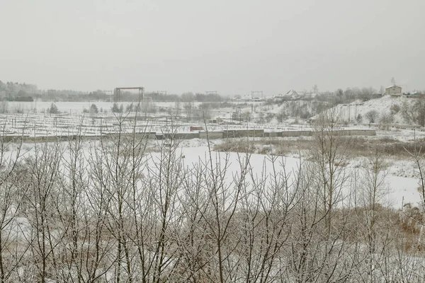 Kış manzarası. Ağaçlar ve kar