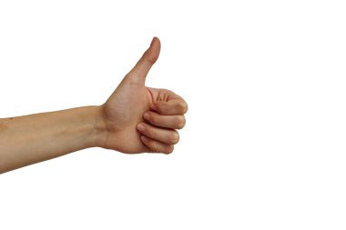 Beyaz bir arka plan üzerinde ver. İzole