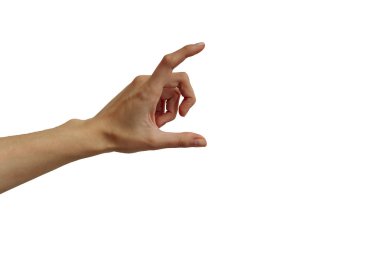 Beyaz bir arka plan üzerinde ver. İzole