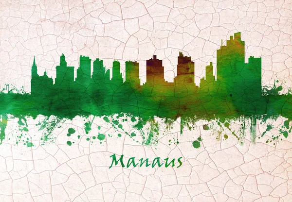Panorama Manaus Březích Řeky Černochy Severozápadní Brazílii Hlavní Město Obrovského — Stock fotografie