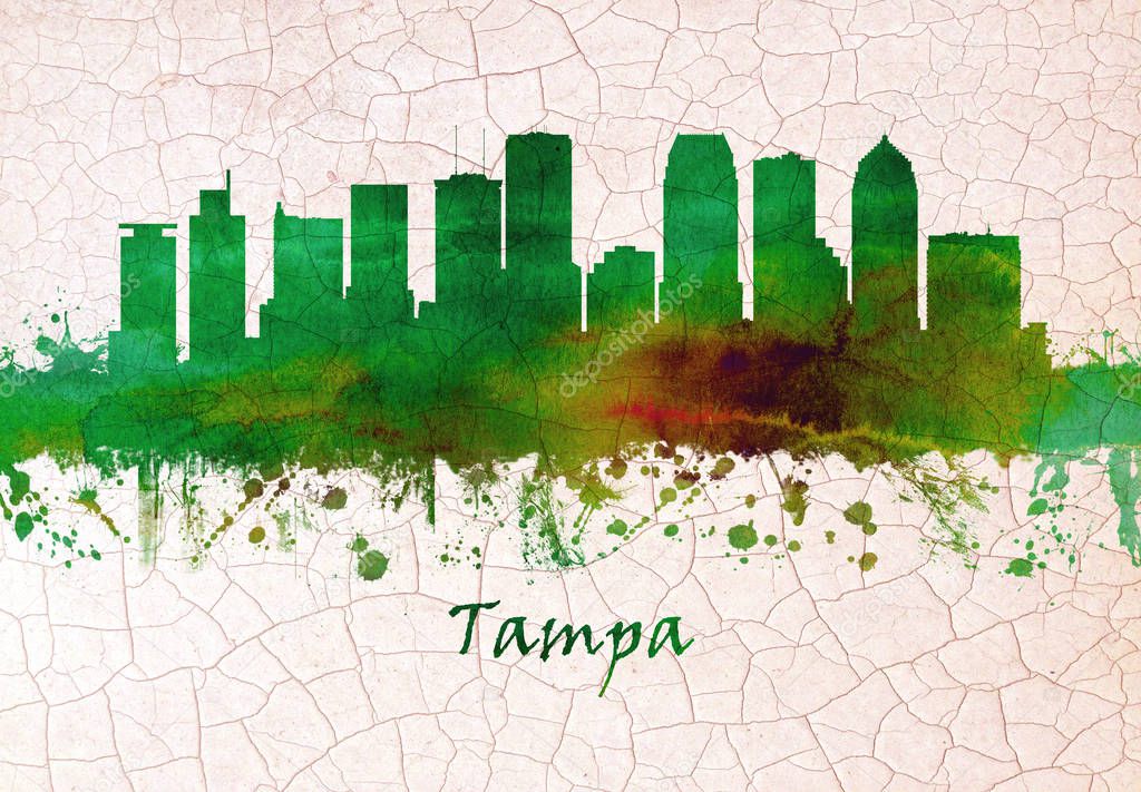 Skyline of Tampa, city on Tampa Bay, along Floridas Gulf Coast