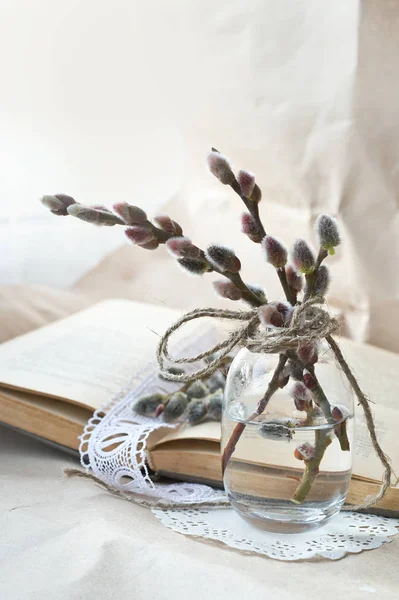book and willow branches in vase on beige background