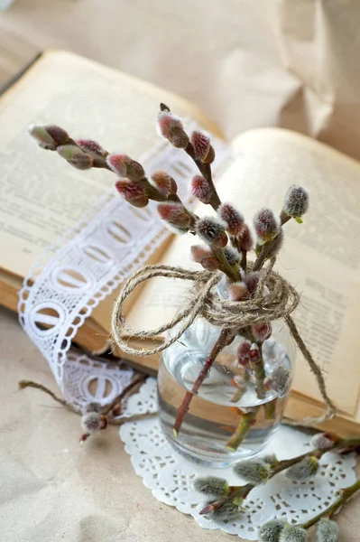 book and willow branches in vase on beige background