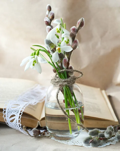 book with willow branches and snowdrops in vase on beige background