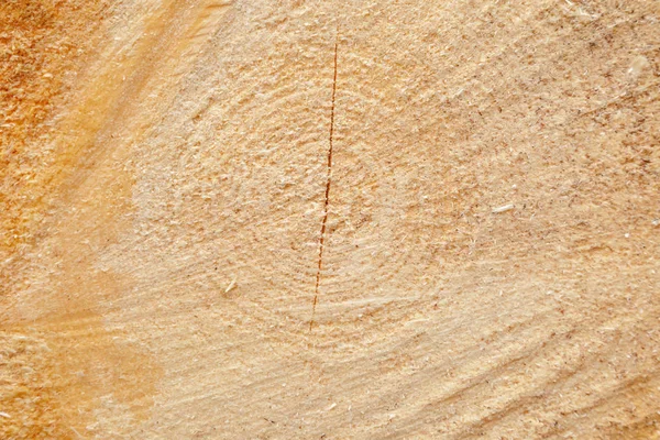 Wood rings texture, background, macro, crack.