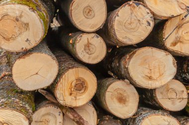 Ham yığın ahşap günlükleri, arka plan ağaç işleme, perakende sektöründe birçok farklı boyutu.