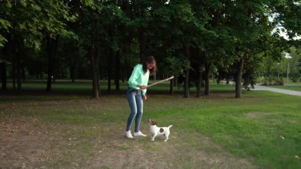 Kapüşonlu genç güzel kadın ve kot köpek ile oynar — Stok video