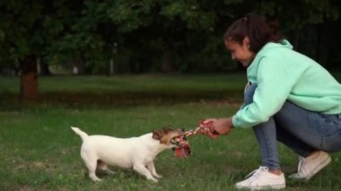 gülen kız çok renkli oyuncak çekerek köpek ile oynar