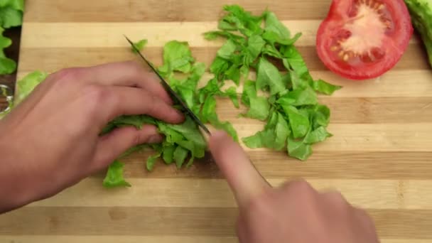 Опытные руки подготовить овощной салат резки зеленый салат — стоковое видео