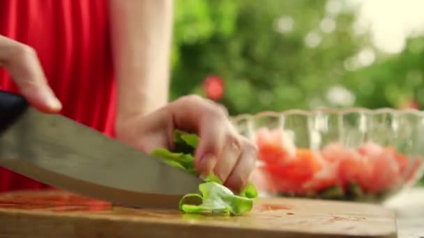 Woman prepares tasty vegetable salad and cuts green lettuce — Stock Video