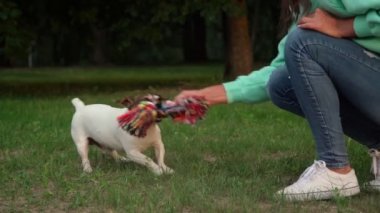 genç bayan genç sabahın erken saatlerinde komik köpek ile oynar