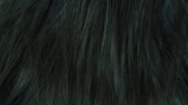 başının arka uzun koyu kadın saç makro yavaş hareket hamle
