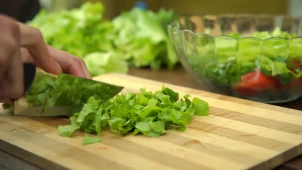 Женские руки держат большой серебряный нож срезать свежий зеленый салат — стоковое видео