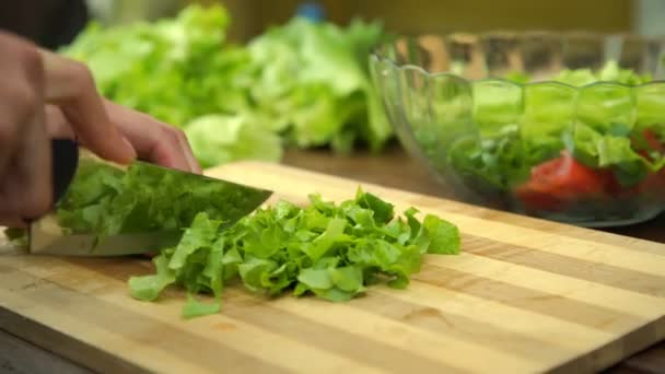 Vrouw handen houden grote zilveren mes gesneden verse groene sla — Stockvideo