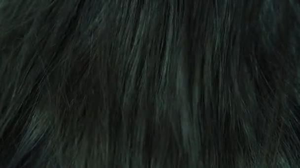 Μακριά σκούρα μαλλιά γυναίκα στο πίσω μέρος του κεφαλιού κινείται μακρο αργή κίνηση — Αρχείο Βίντεο