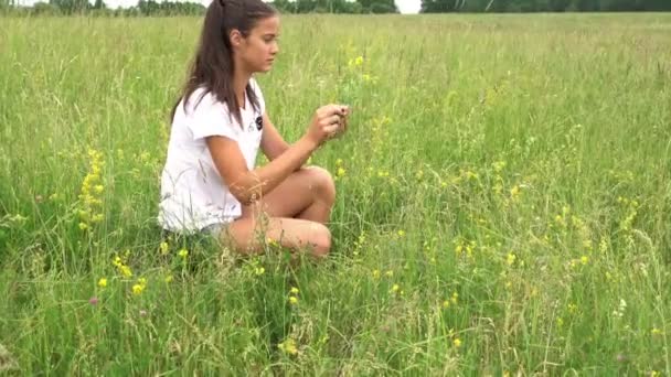 Långhårig dam med hästsvans sitter på grön blommande äng — Stockvideo