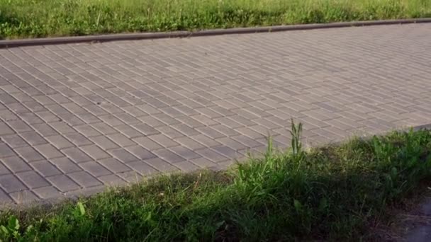 Person med skidstavar går längs grå asfalterad väg upplyst av Sun — Stockvideo