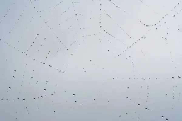 蜘蛛网的形式几何图形与露水或雨滴 灰色的天空背景 — 图库照片