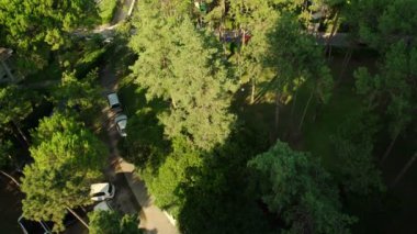 yukarıdan güneş ışığı görünümünde ağaçlar yollar ve arabalar ile park
