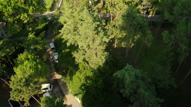 Park mit Bäumen Straßen und Autos bei Sonnenlicht Blick von oben — Stockvideo