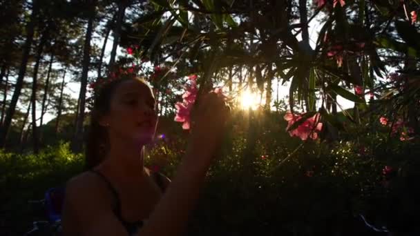 Niña huele flor rosa en el árbol en el parque al atardecer — Vídeos de Stock