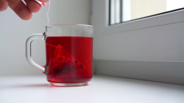 Hombre prepara té de frambuesa utilizando la bolsa de té pirámide en taza de vidrio — Vídeos de Stock