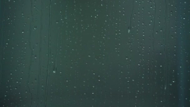 Rain drops running down along window glass close view — ストック動画