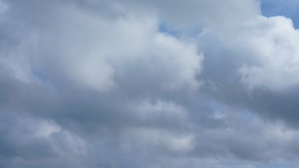 Timelapse grå och vita fluffiga moln flyter i blå himmel — Stockvideo