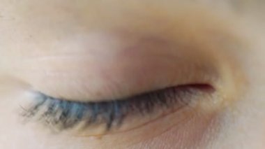 Büyük fındık göz kırpması sık sık yakın görüşte olur.