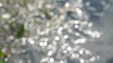 Bulanık bokeh beyaz ve gri arkaplan yavaş çekim