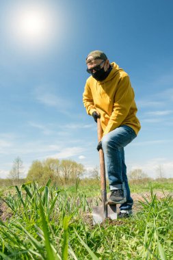 Maskeli yaşlı adam sebze bahçesinde kürekle toprak kazıyor.