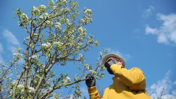 Hombre quita negro máscara olor árbol flor contra azul cielo — Vídeos de Stock