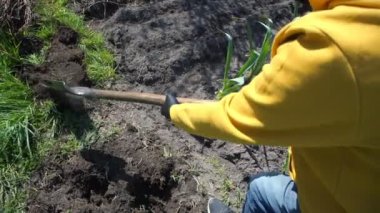 Maskeli çiftçi sebze bahçesinde küçük bir çukur kazıyor.