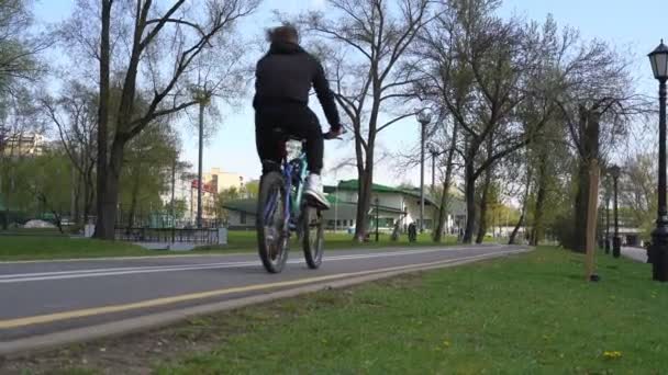 Sporty people ride bicycles along park road at large trees — Stock Video