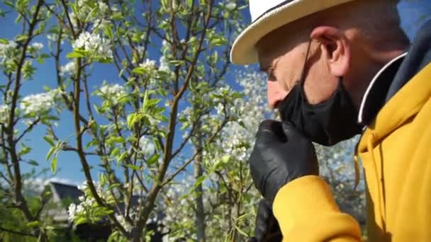 Συνταξιούχος με μάσκα προσπαθεί να μυρίσει ανθισμένα λουλούδια στον κήπο — Αρχείο Βίντεο