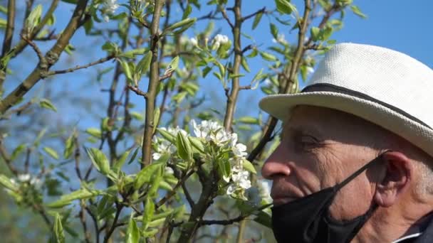 Viejo hombre en máscara disfruta de aroma de flor de manzano y se va — Vídeos de Stock