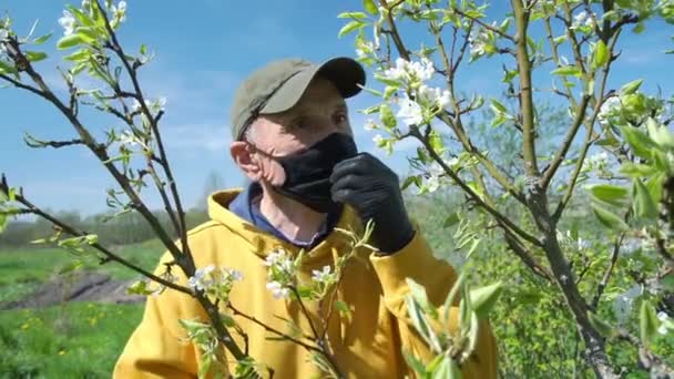 Åldrad man i svart mask och handskar luktar vita blommor — Stockvideo