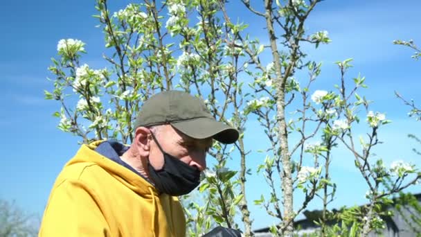 Пенсіонер з видаленою маскою пахне яблучною квіткою крупним планом — стокове відео