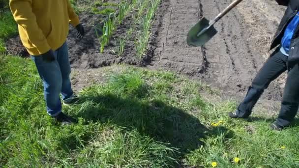 Person i svarta sterila handskar ger metall spade till bonden — Stockvideo