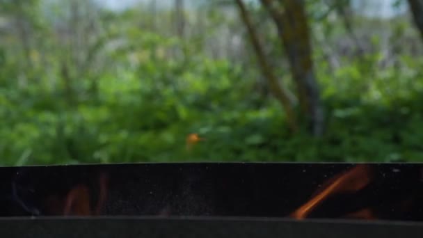 Flame in handmade barbecue grill against blurry garden — Stock Video