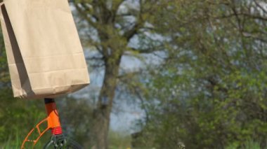 Mobiletli kız, büyükbabaya ağaçtan yiyecek getiriyor.